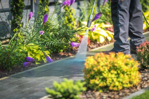  South Brooksville, FL Pressure Washing Pros