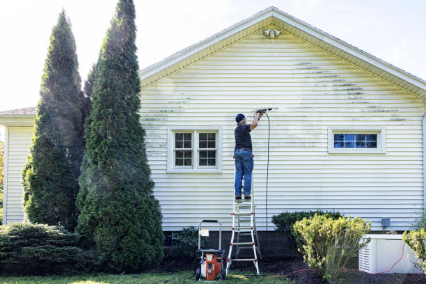 Animal Enclosure Cleaning in South Brooksville, FL